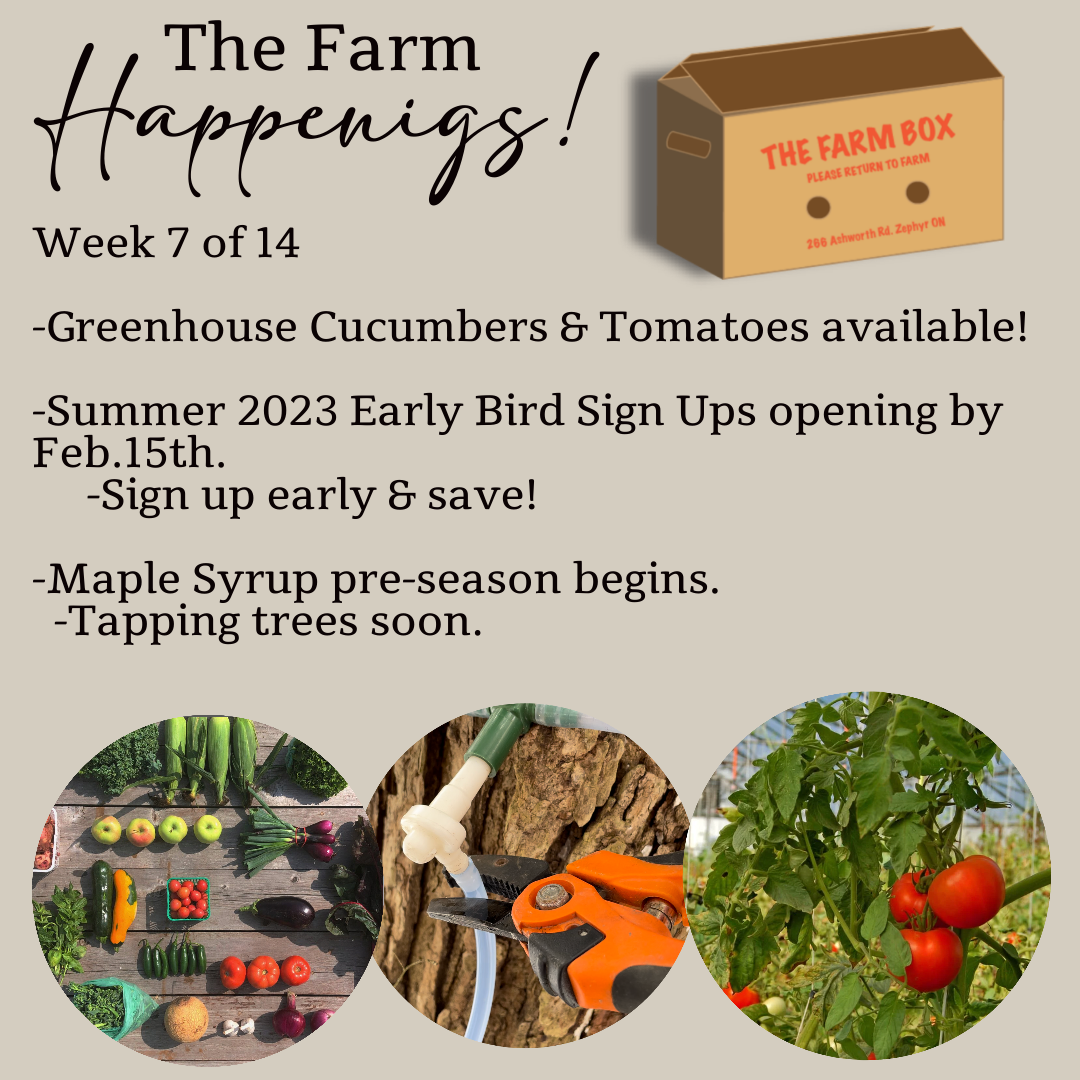 Previous Happening: "The Farm Box"-Coopers CSA Farm Farm Happenings Feb. 14th-18th. Week 7