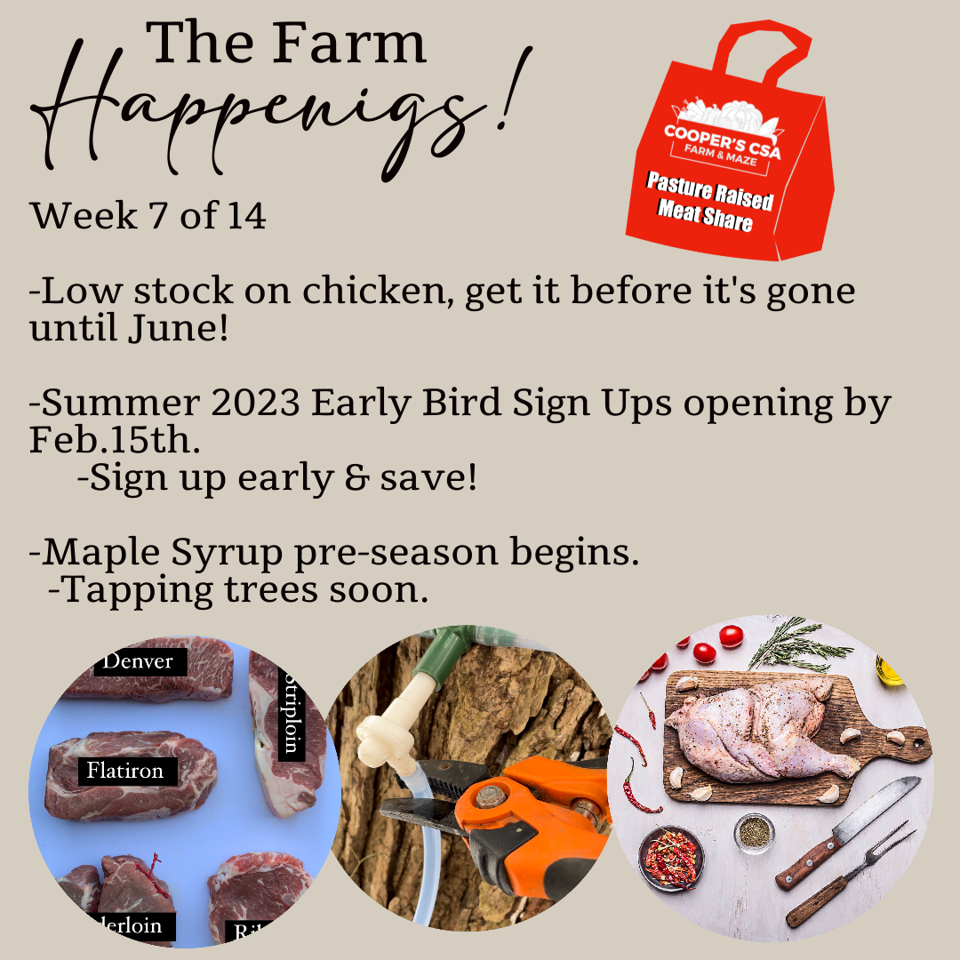 Next Happening: "Pasture Meat Shares"-Coopers CSA Farm Farm Happenings Feb.14th-18th. Week 7