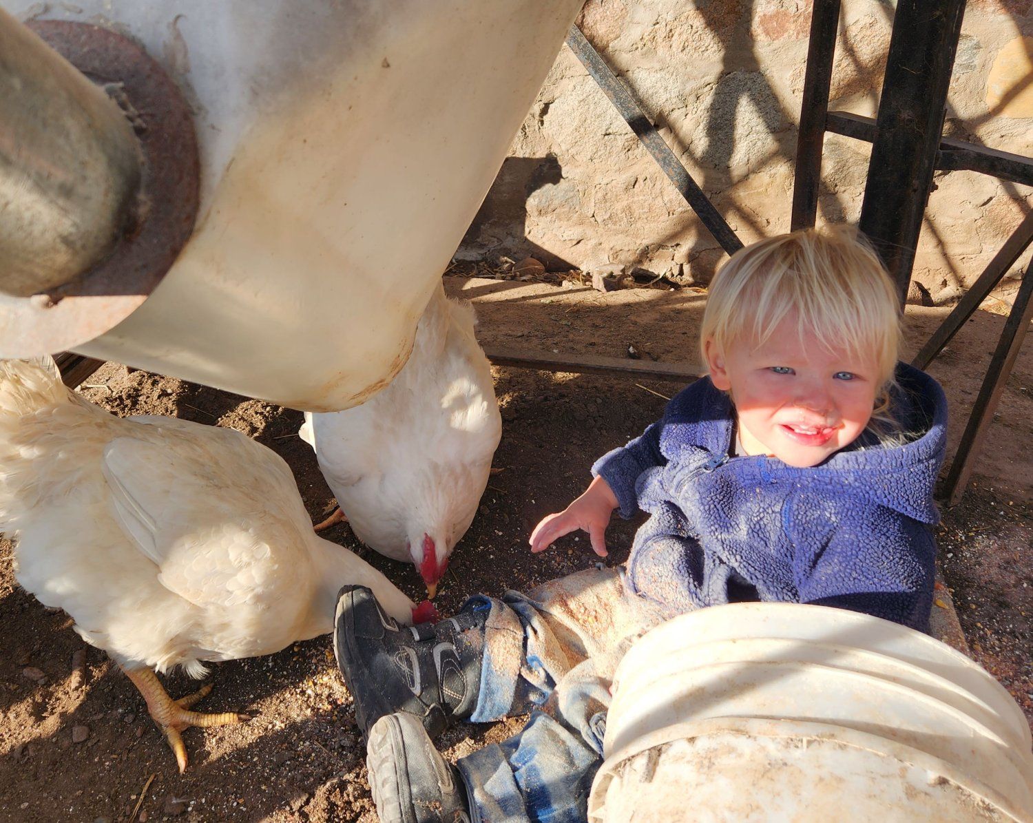 Next Happening: Farm Happening/ Newsletter February 22nd - Featuring Heritage Acres