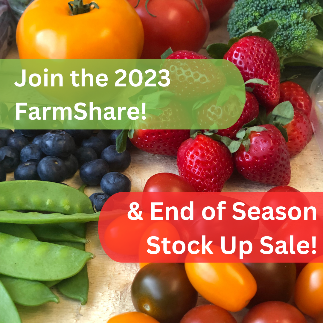 Next Happening: Winter Week 12: Last Week of the Winter FarmShare!