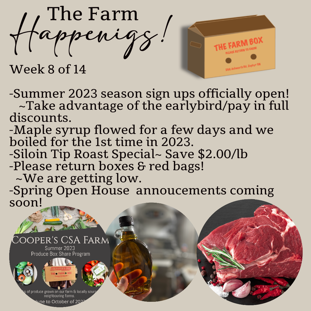 Next Happening: "The Farm Box"-Coopers CSA Farm Farm Happenings Feb. 28th-March 4th