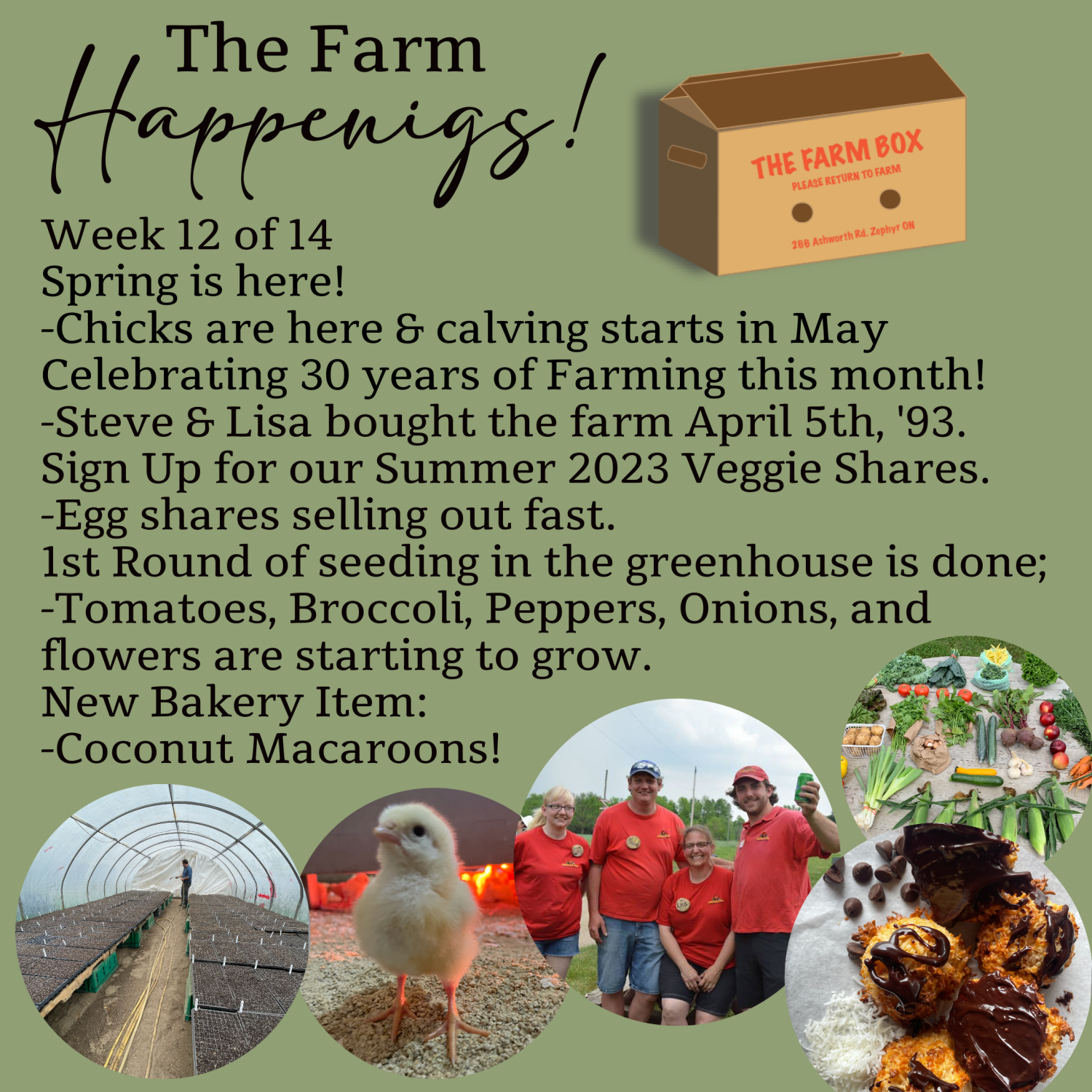 Next Happening: "The Farm Box"-Coopers CSA Farm Farm Happenings Winter/Spring Week 12