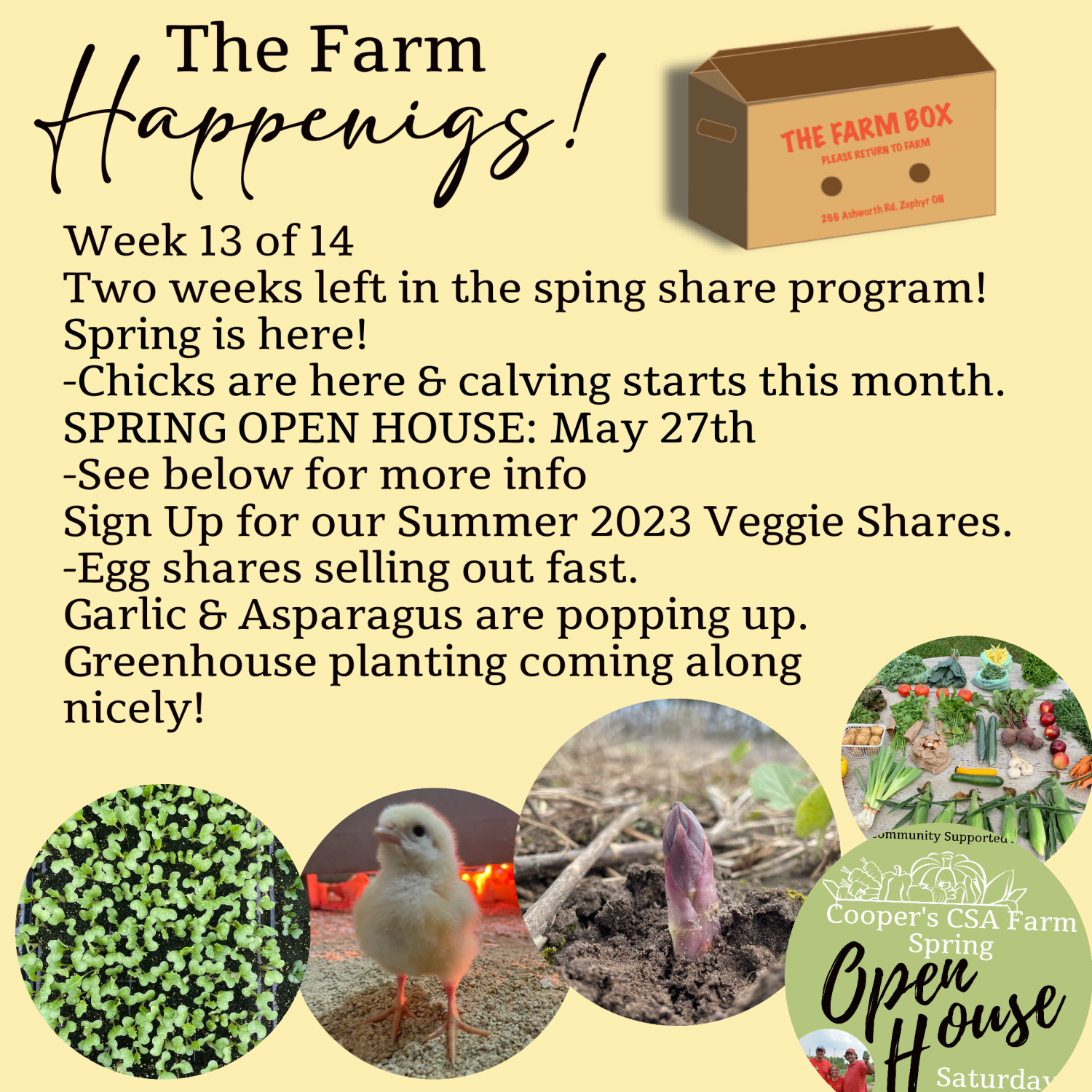 Next Happening: "The Farm Box"-Coopers CSA Farm Farm Happenings Week 13