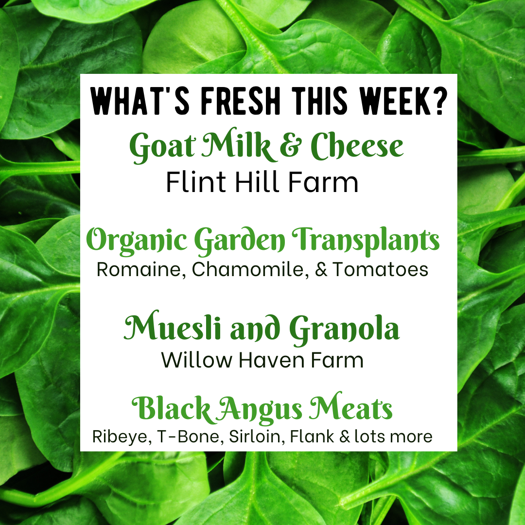 Next Happening: Flint Hill Goat Milk and Chevre is BACK + new Garden Transplants