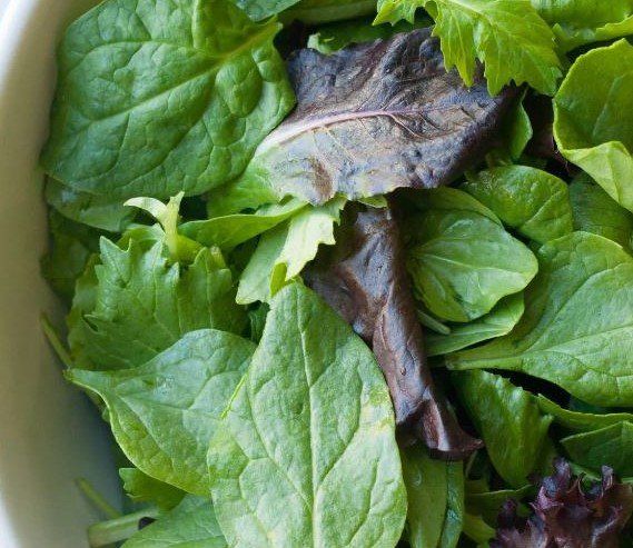 Next Happening: First Salad Greens of the Season