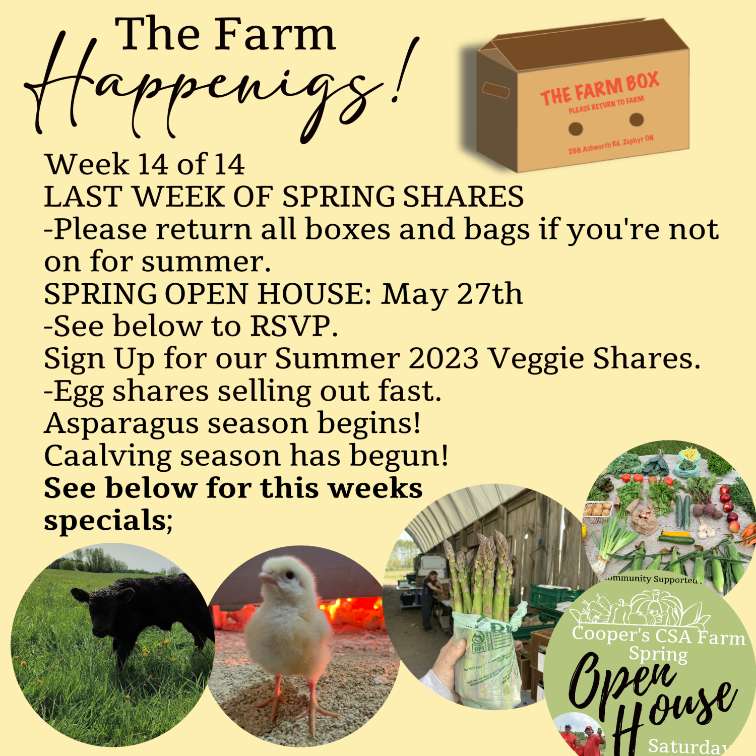 Next Happening: "The Farm Box"-Coopers CSA Farm Farm Happenings Week 14