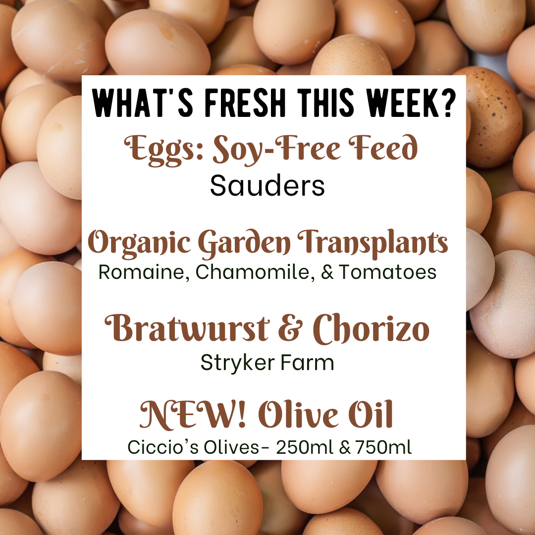 Next Happening: Ciccio's Olive Oil is HERE + Soy Free Feed Eggs and Memorial Day Specials
