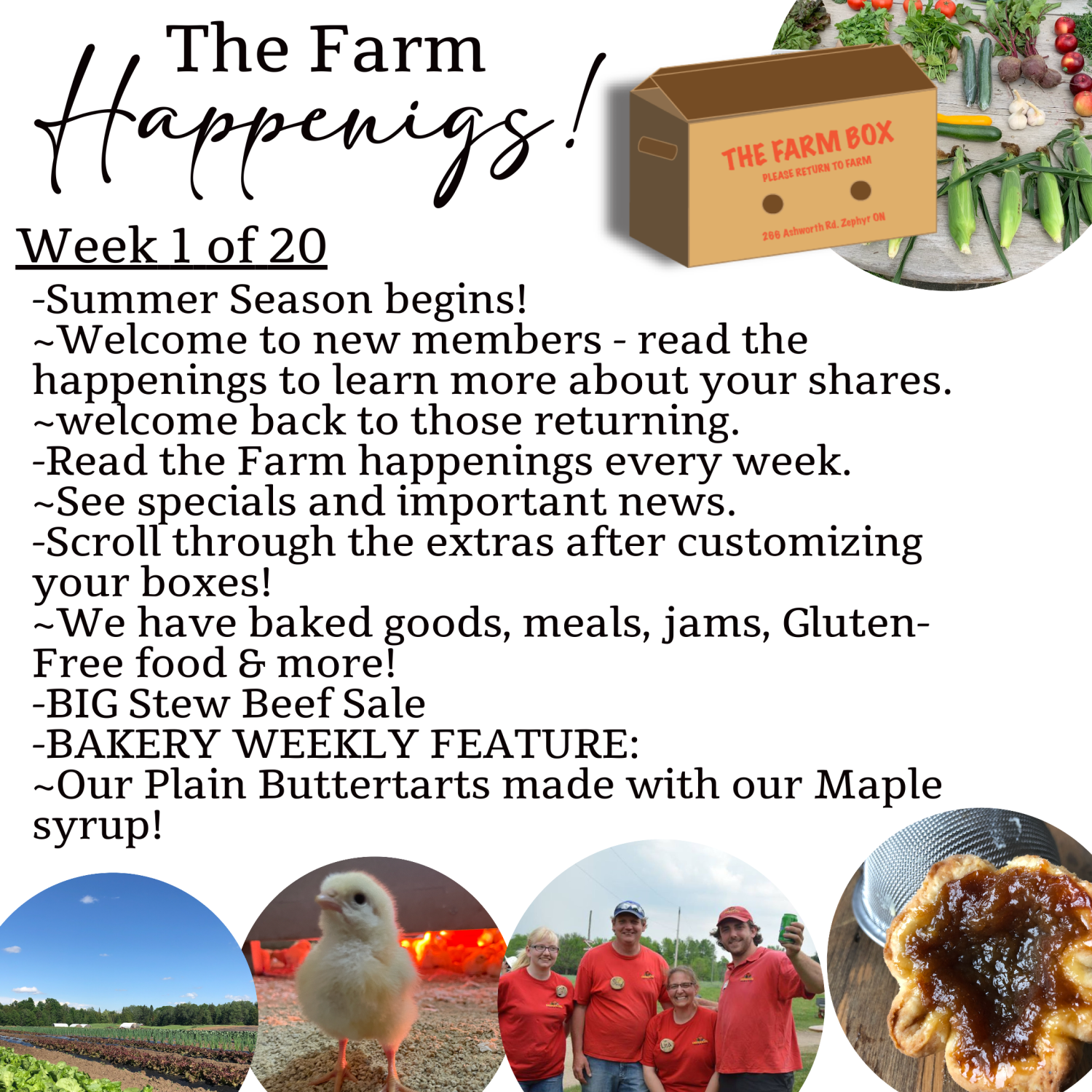 Next Happening: "The Farm Box"-Coopers CSA Farm Farm Happenings: Week 1 of 20