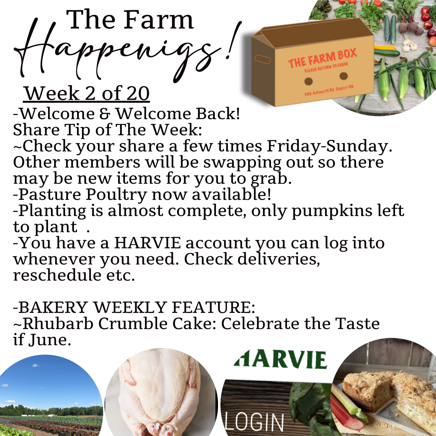 "The Farm Box"-Coopers CSA Farm Farm Happenings Week 2 of 20