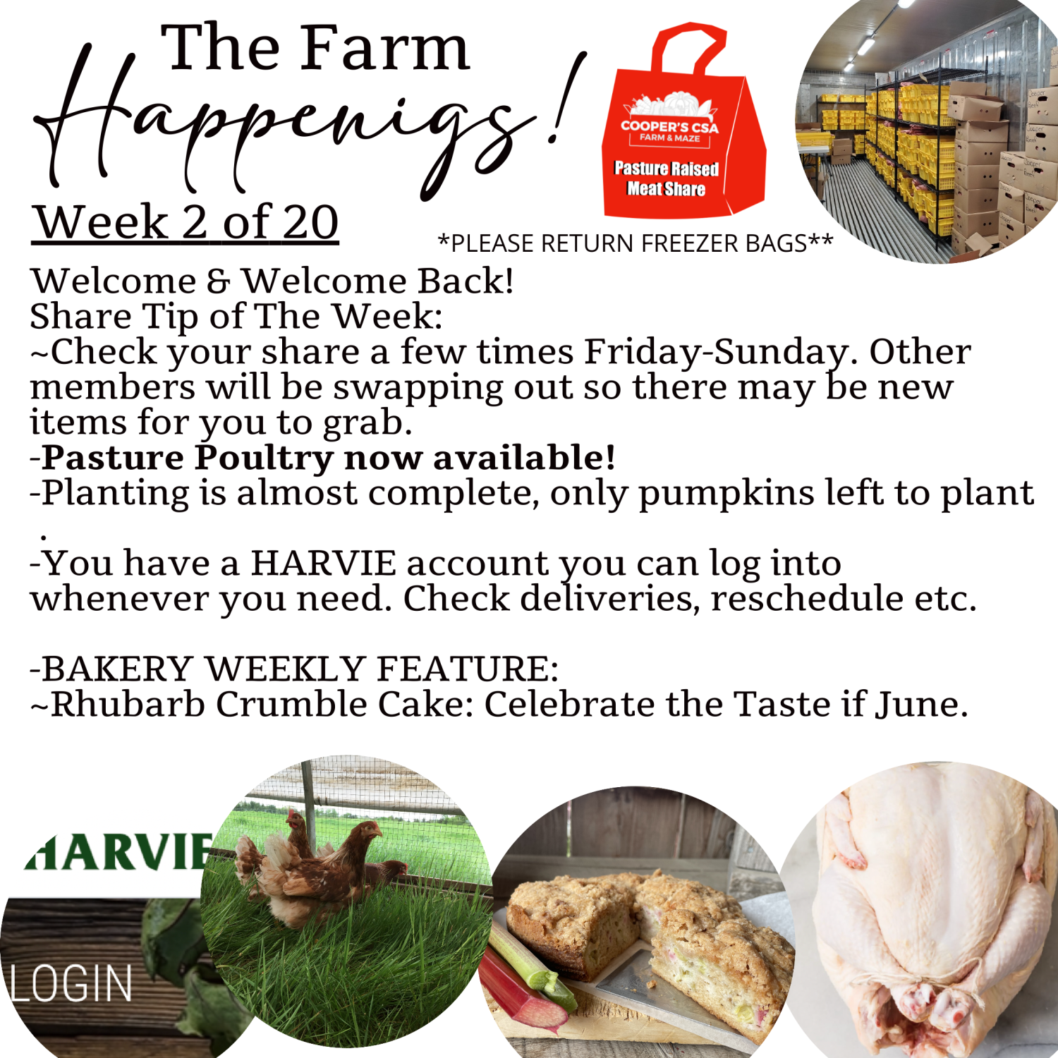 Next Happening: "Pasture Meat Shares"-Coopers CSA Farm Farm Happenings Week 2