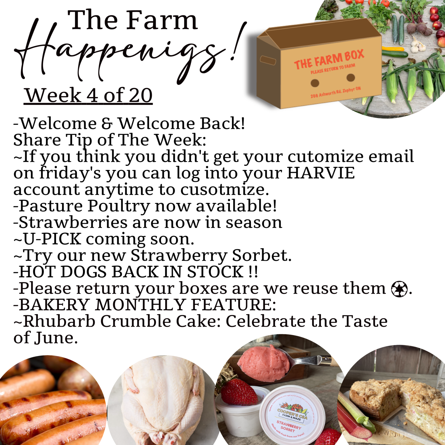 "The Farm Box"-Coopers CSA Farm Farm Happenings Week 4 of 20