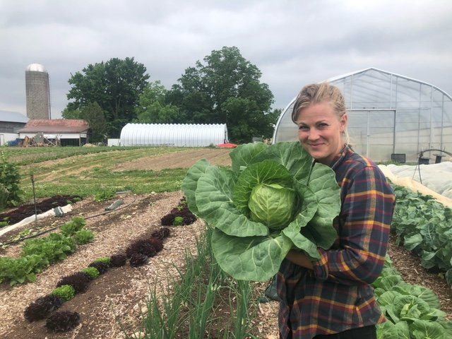 Lettuce Rejoice! June 29, 2023 - Summer Farm Share Week 4