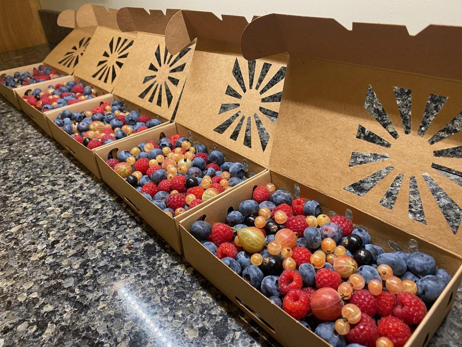 Next Happening: More Berries!