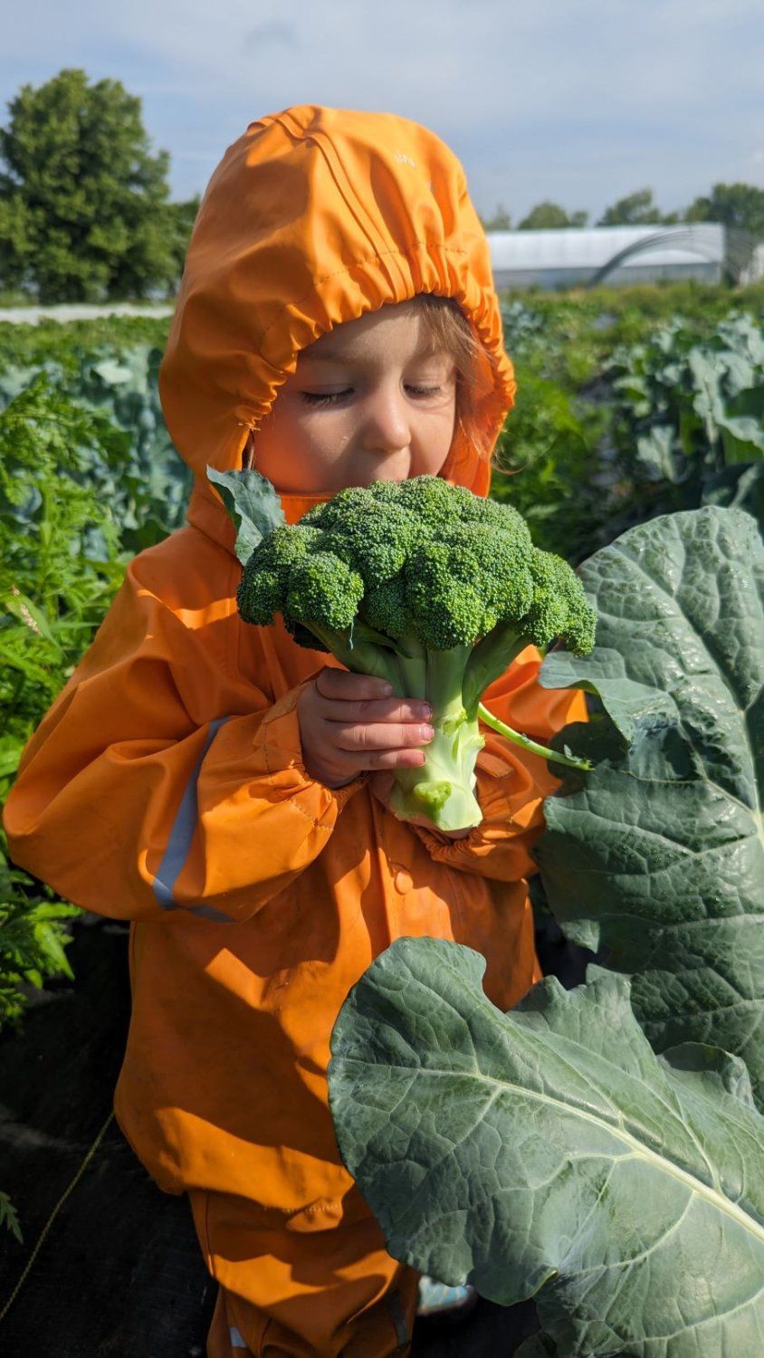 Farm Share 2023 Week 5 - Broccoli!