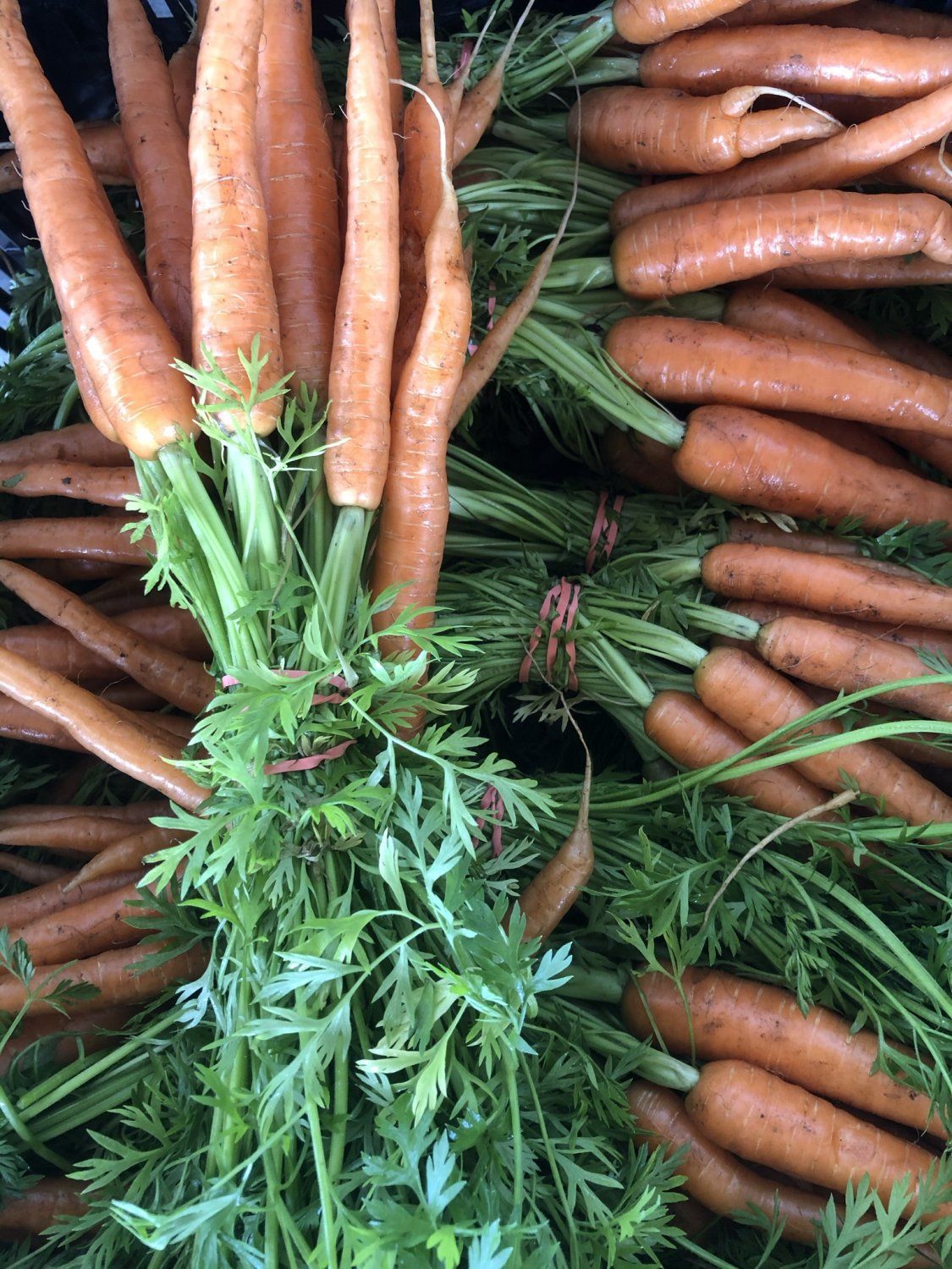 Surprise! - Carrots, zucchini, cauliflower and more available