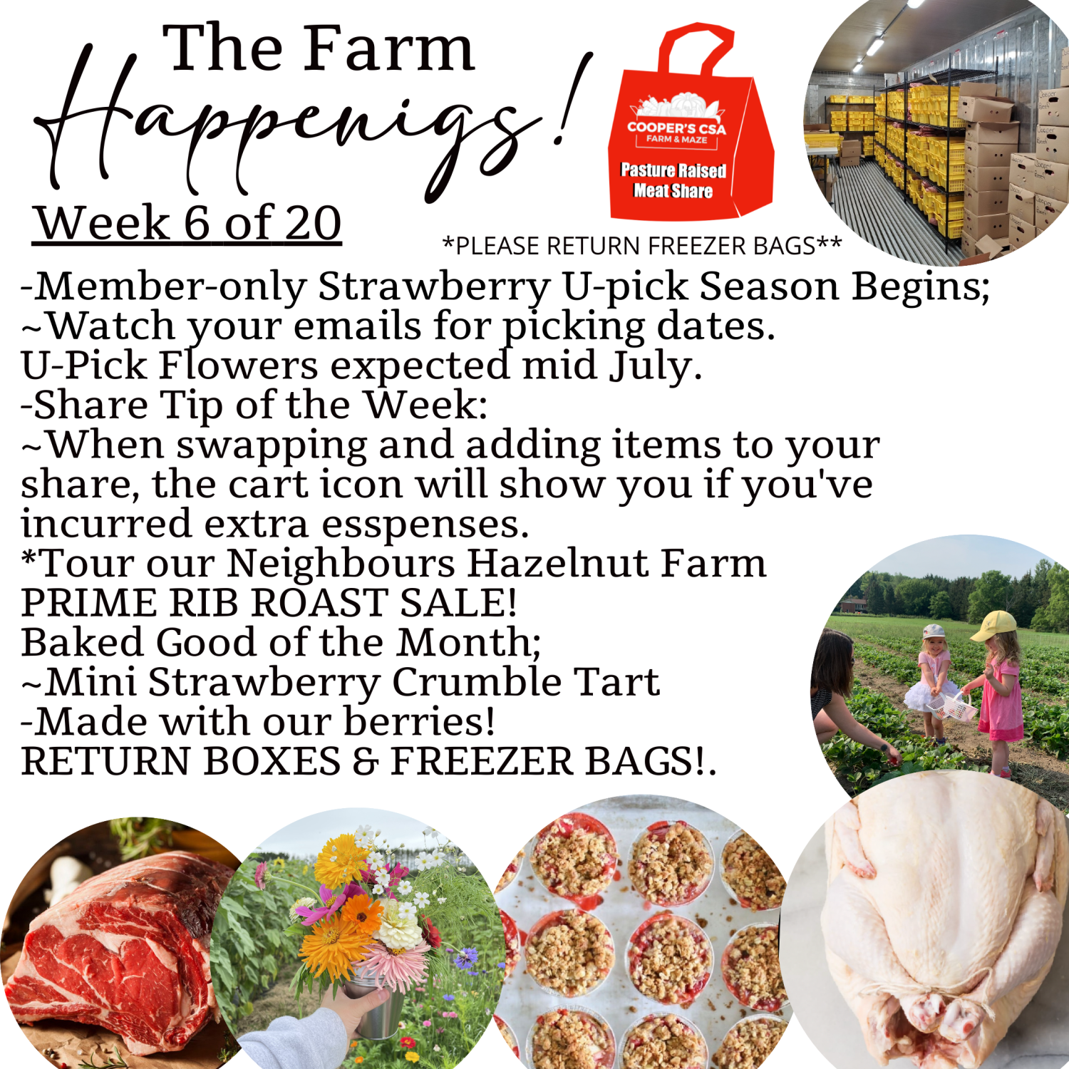 Next Happening: "Pasture Meat Shares"-Coopers CSA Farm Farm Happenings Week 6 of 20
