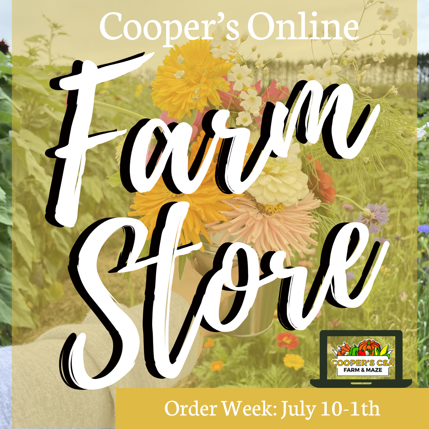 Previous Happening: Coopers CSA Online FarmStore- Order week July 10-13th