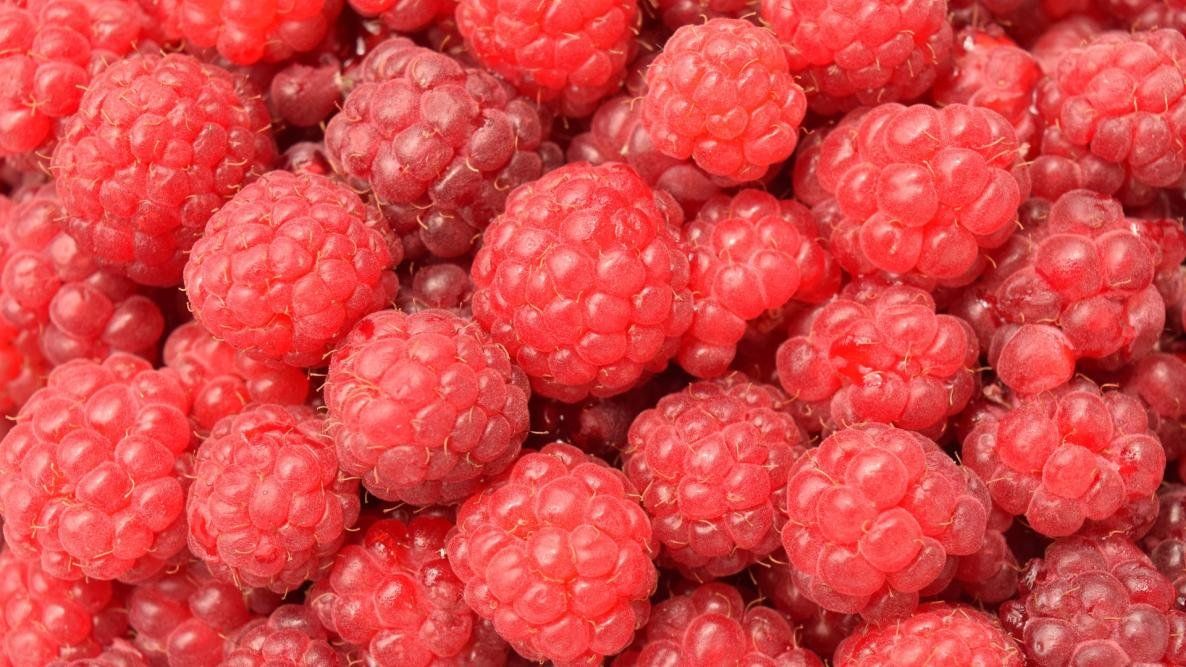 Next Happening: Red Raspberries - On Farm Pick Up Only