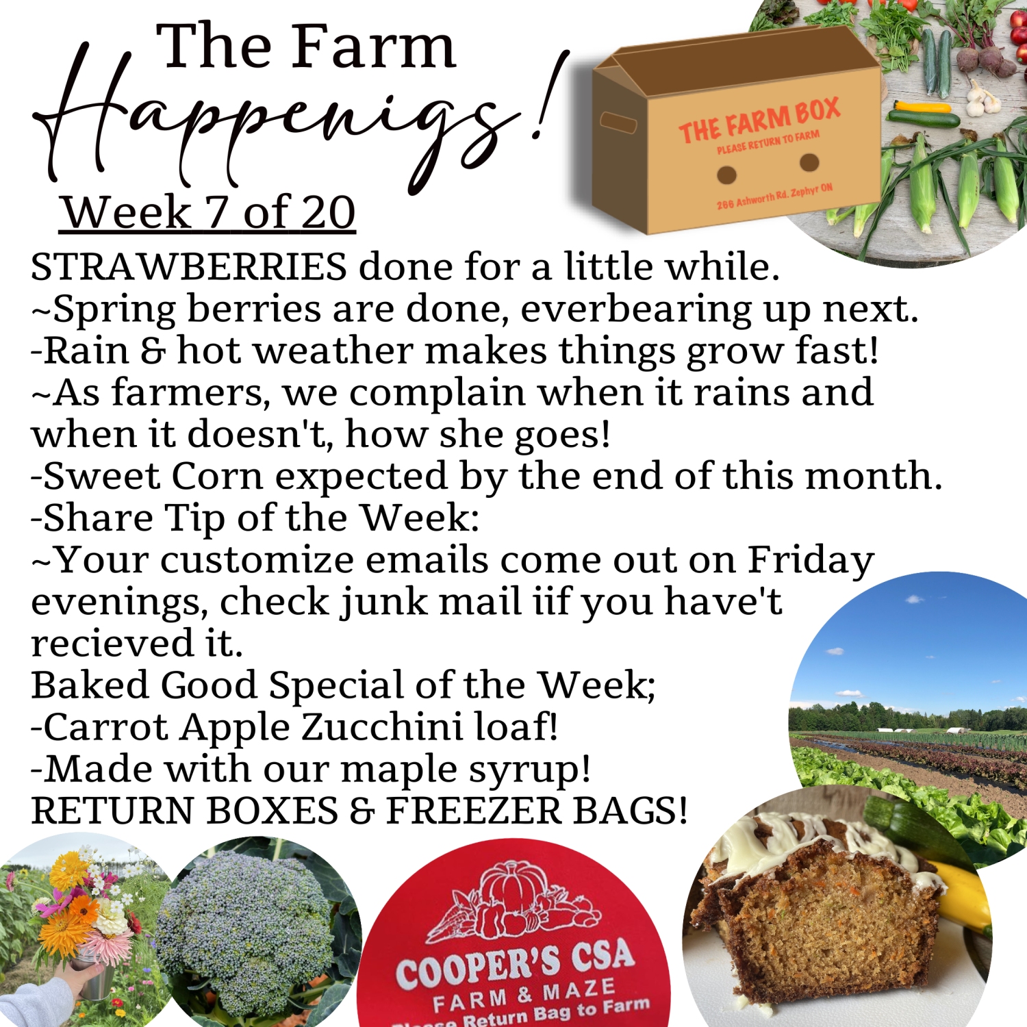 Next Happening: "The Farm Box"-Coopers CSA Farm Farm Happenings Week 7
