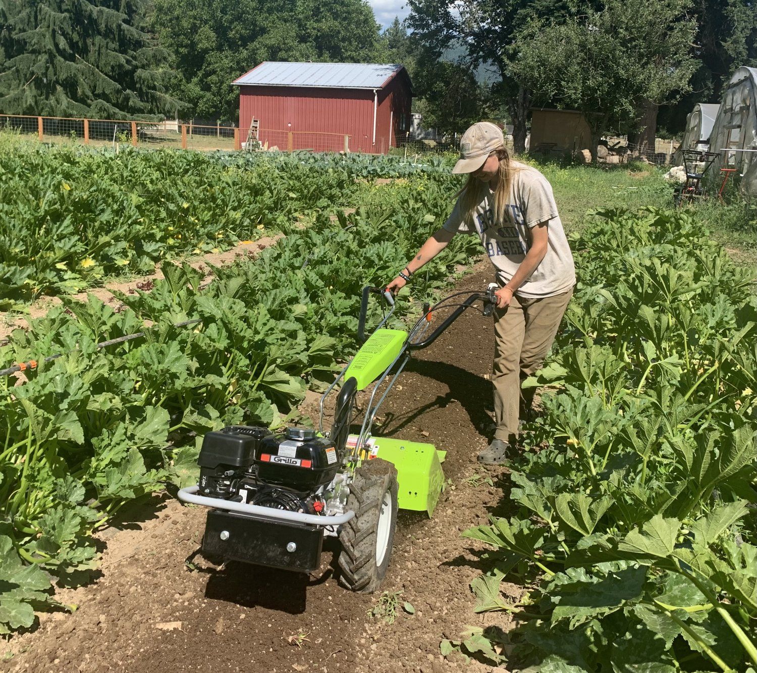 Previous Happening: Farm Happenings for July 20, 2023