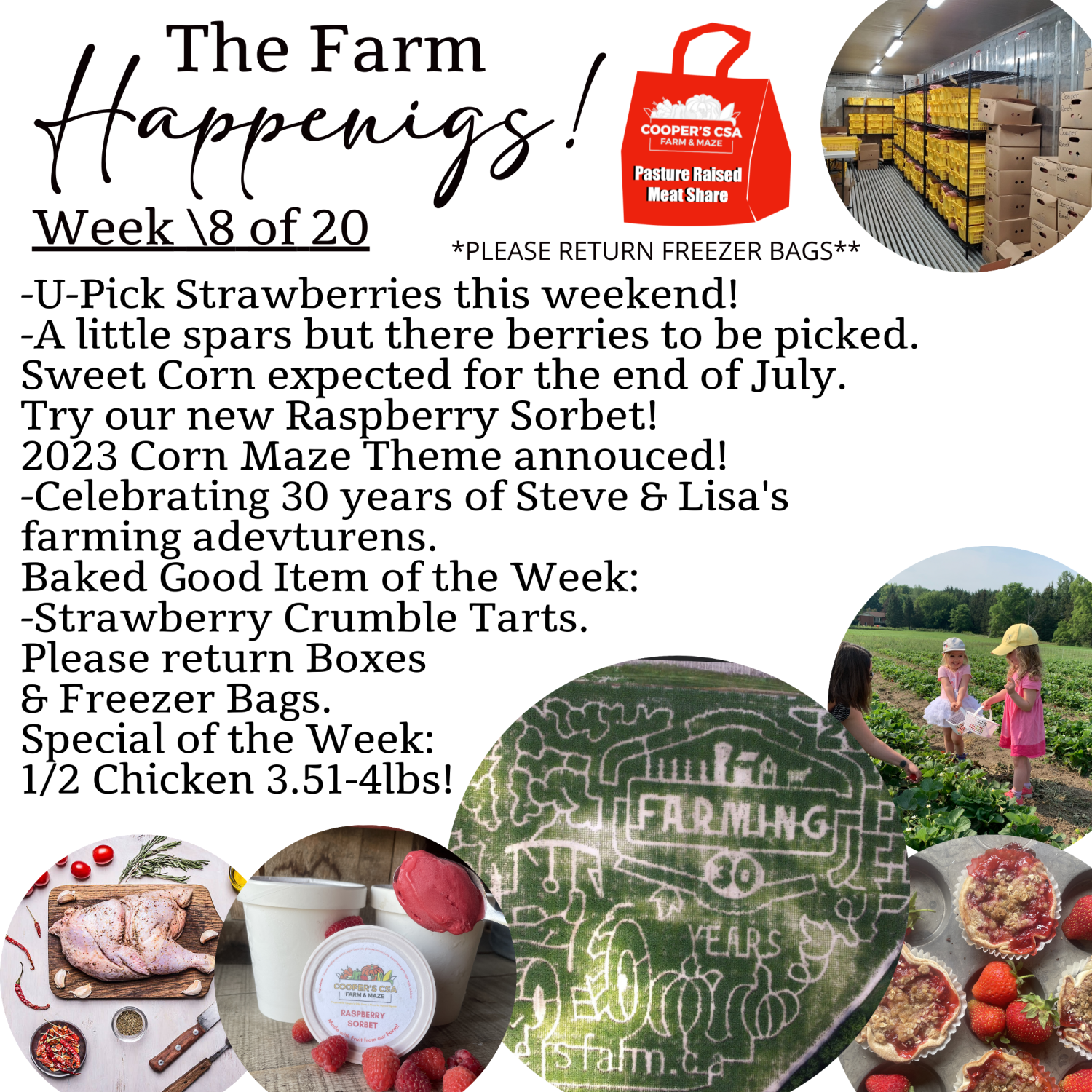 Next Happening: "Pasture Meat Shares"-Coopers CSA Farm Farm Happenings Week 8