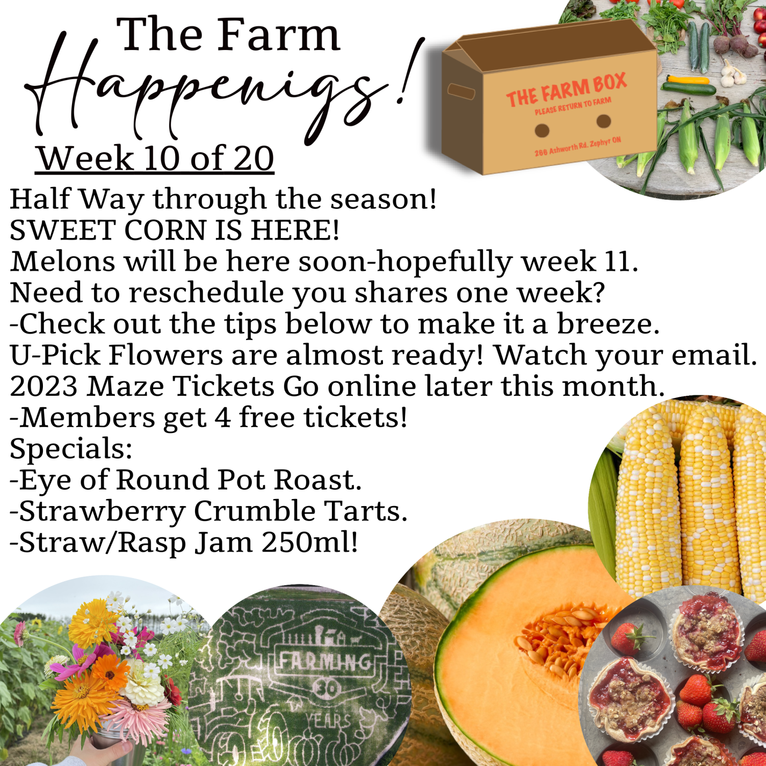 "The Farm Box"-Coopers CSA Farm Farm Happenings Week 10