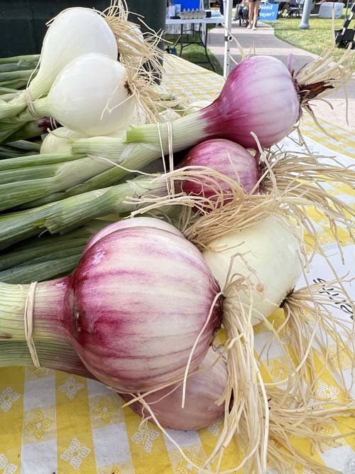 Next Happening: Onion Harvest