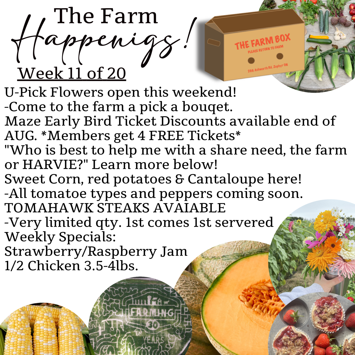 "The Farm Box"-Coopers CSA Farm Farm Happenings: Week 11 of 20
