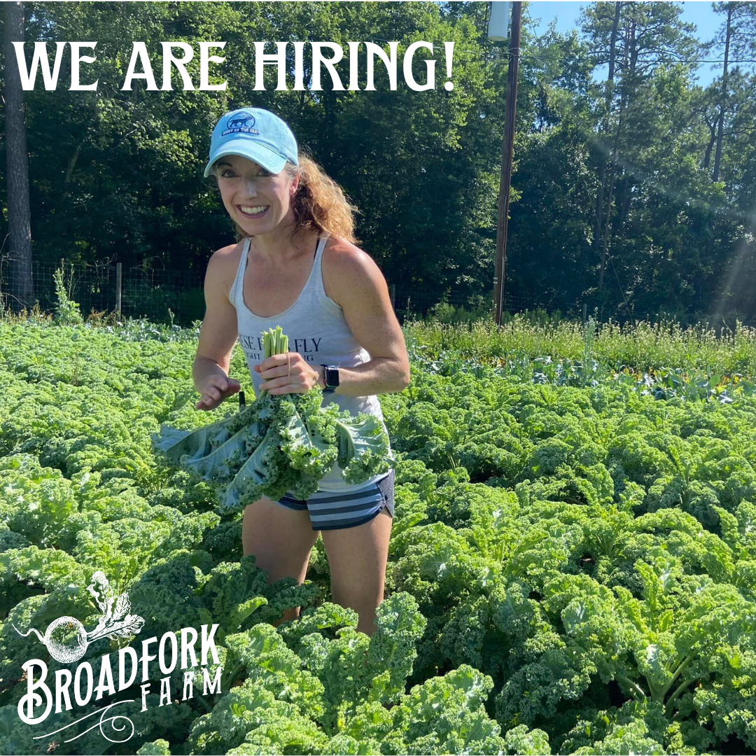 Next Happening: We're HIRING! - and Farm Shares for August 16, 2023