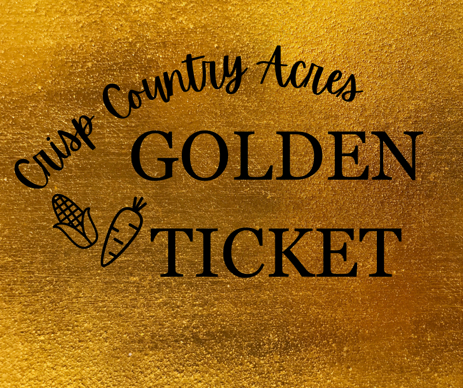 Will you win the golden ticket?