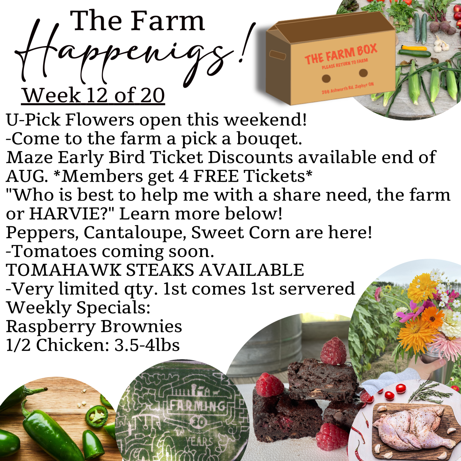 Next Happening: "The Farm Box"-Coopers CSA Farm Farm Happenings Week 12