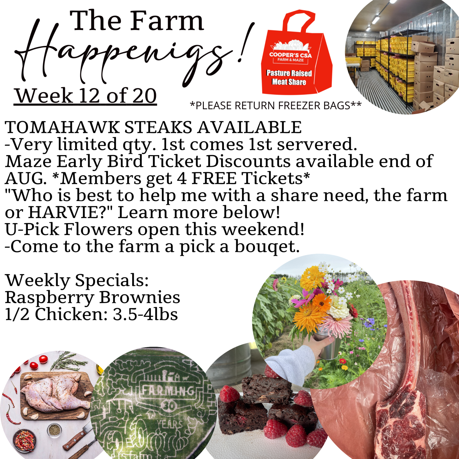 Next Happening: "Pasture Meat Shares"-Coopers CSA Farm Farm Happenings Week 12