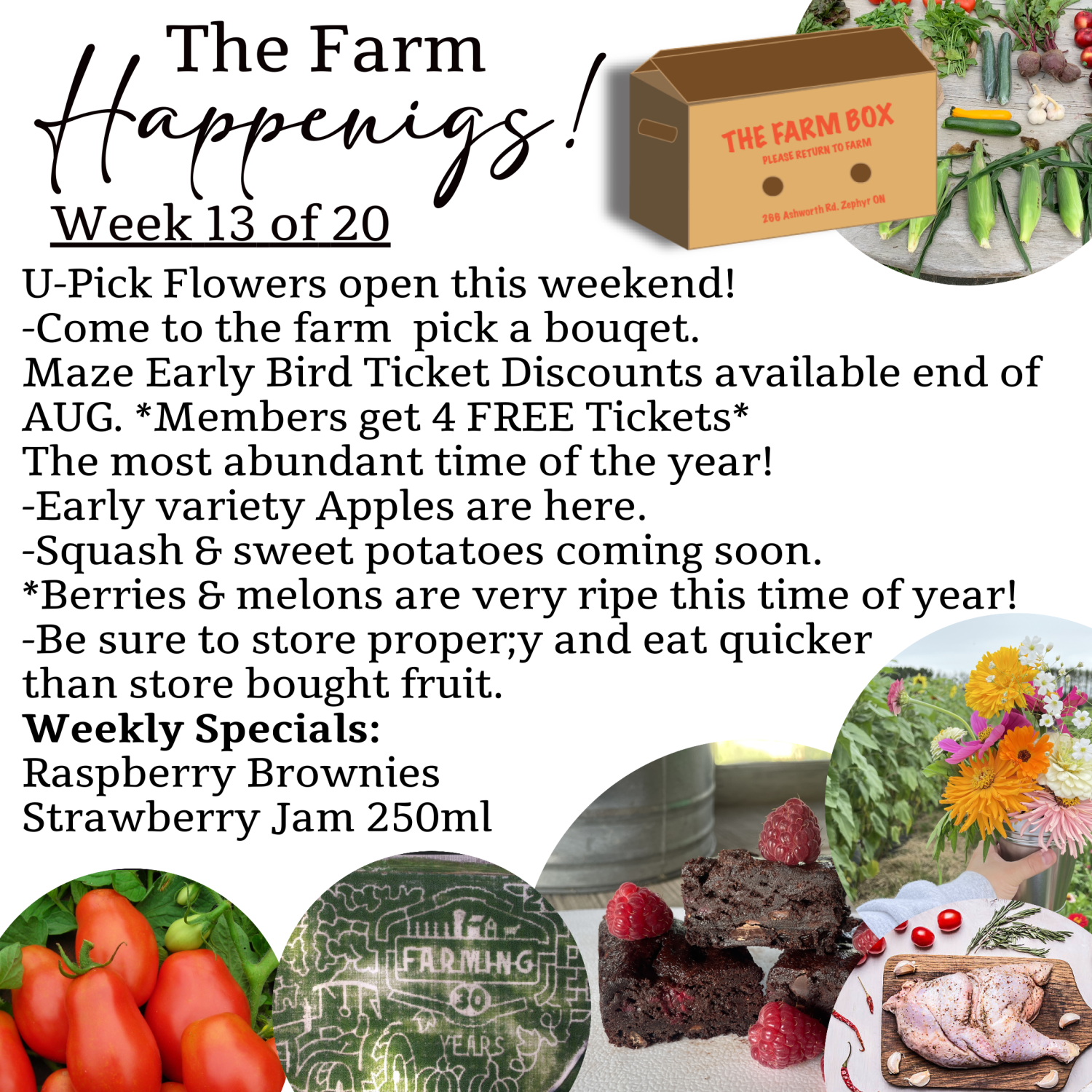 "The Farm Box"-Coopers CSA Farm Farm Happenings Week 13