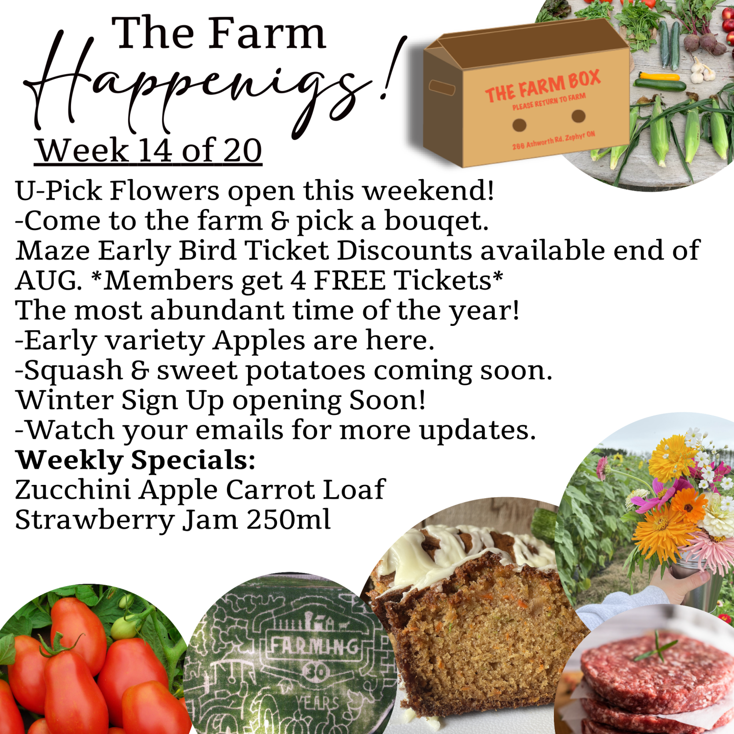 "The Farm Box"-Coopers CSA Farm Farm Happenings Week 14