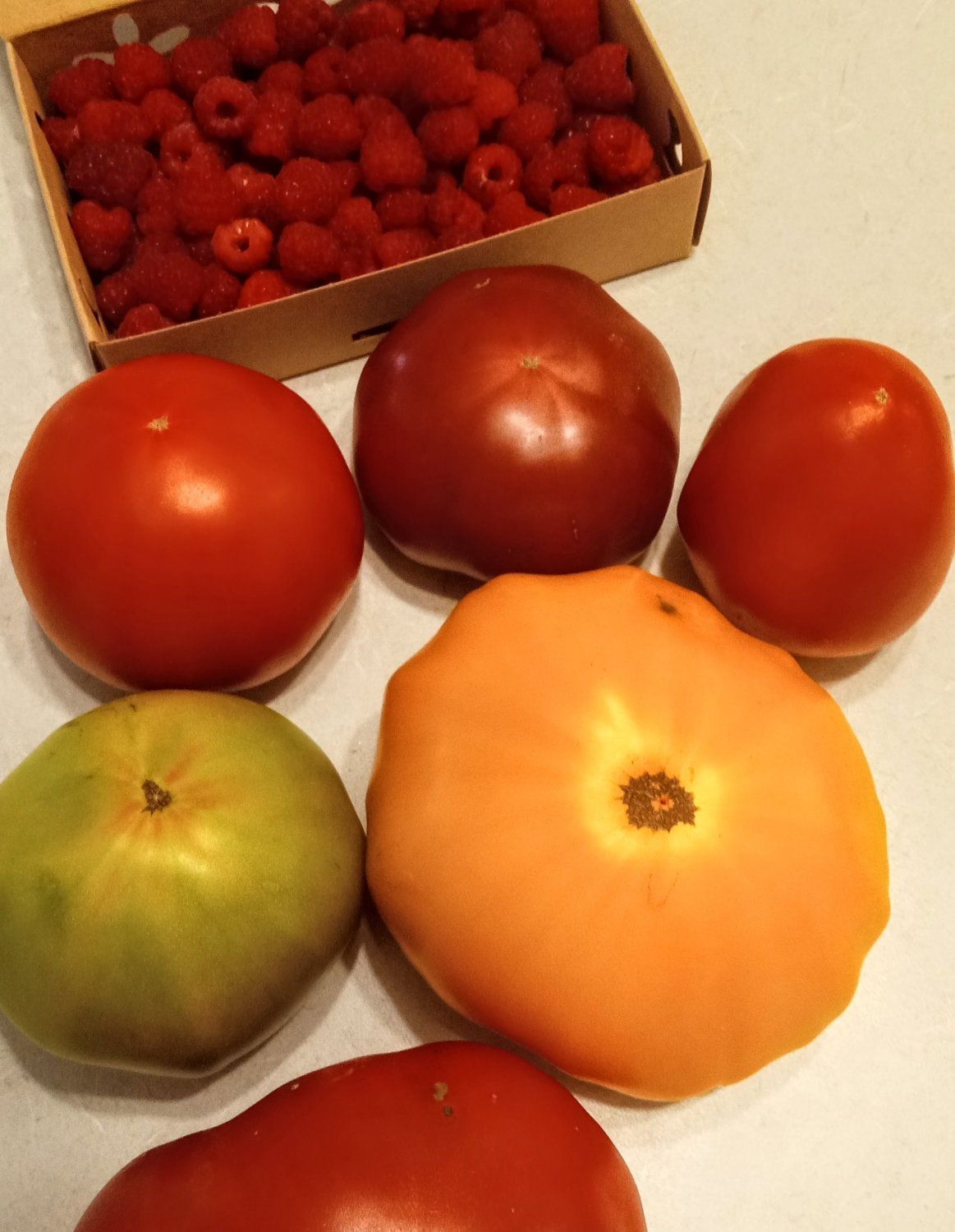 Previous Happening: More Tomatoes, More Raspberries