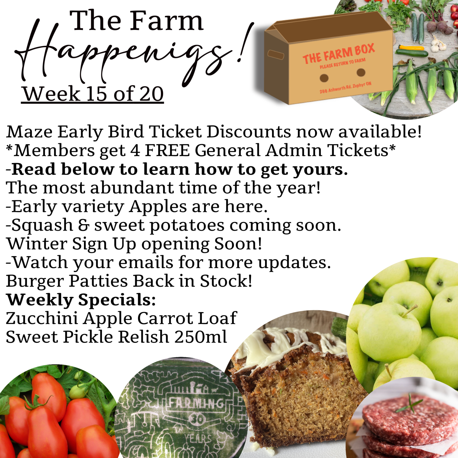 "The Farm Box"-Coopers CSA Farm Farm Happenings Week 15