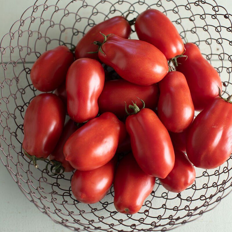 Paste Tomatoes for Delicious Sauce
