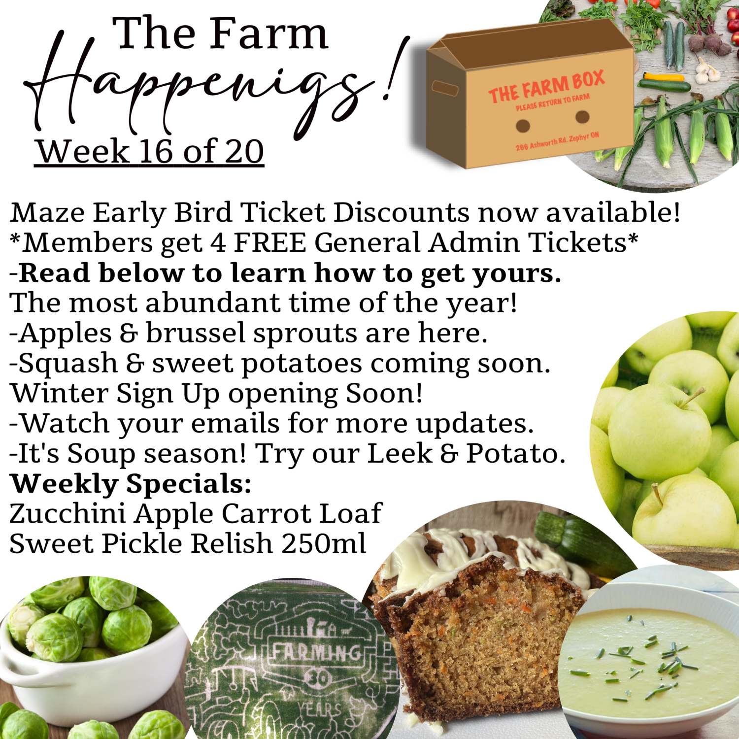 "The Farm Box"-Coopers CSA Farm Farm Happenings Week 16