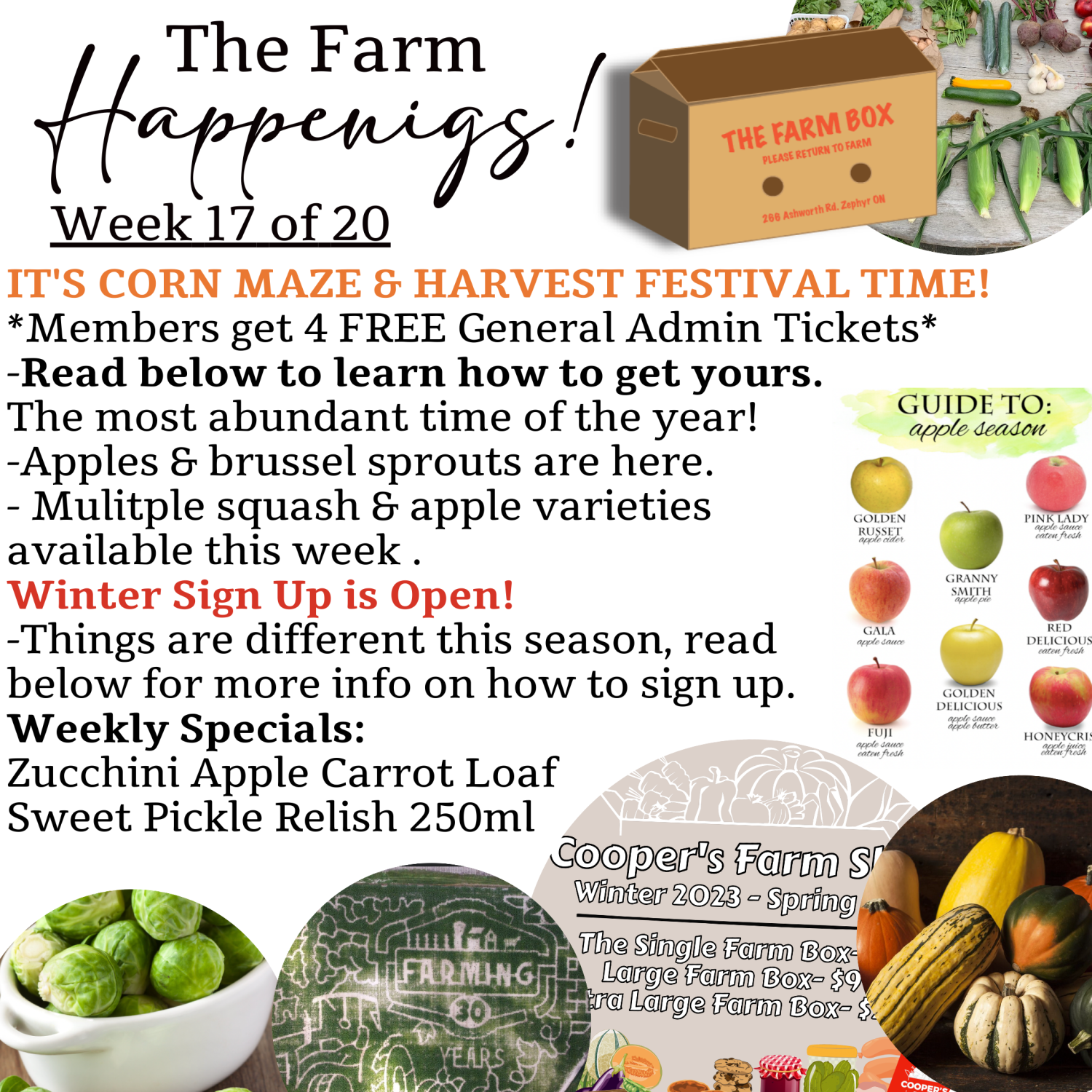 Next Happening: "The Farm Box"-Coopers CSA Farm Farm Happenings Week 17