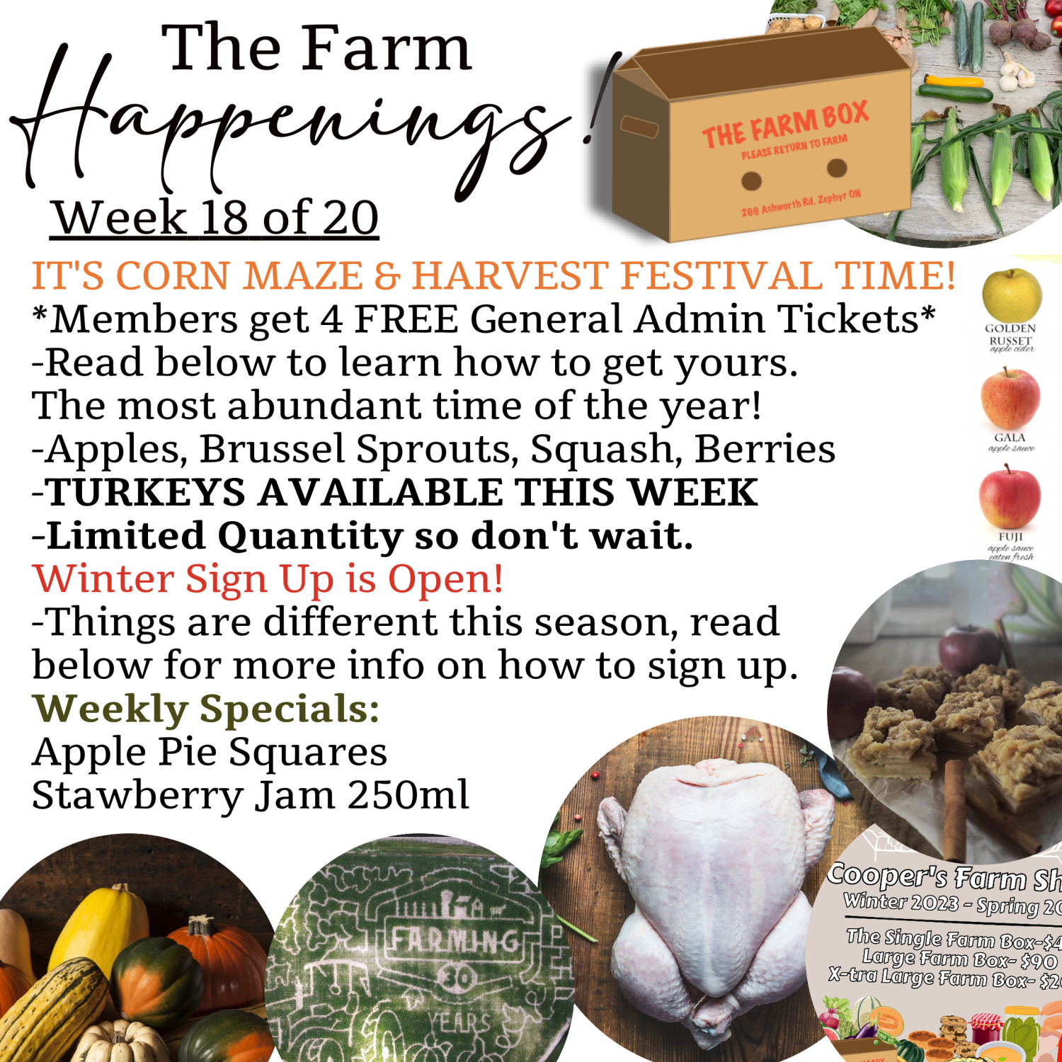 Previous Happening: "The Farm Box"-Coopers CSA Farm Farm Happenings Week 18