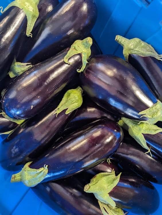 Previous Happening: Bok Choy, Potatoes, Leeks, Eggplant + more!