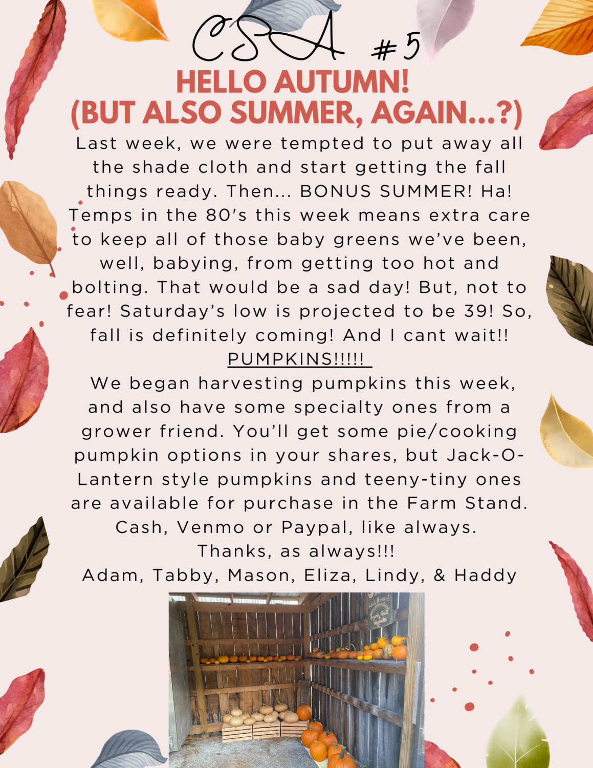 Fall/Summer(haha) Pumpkins! And Farm Happenings