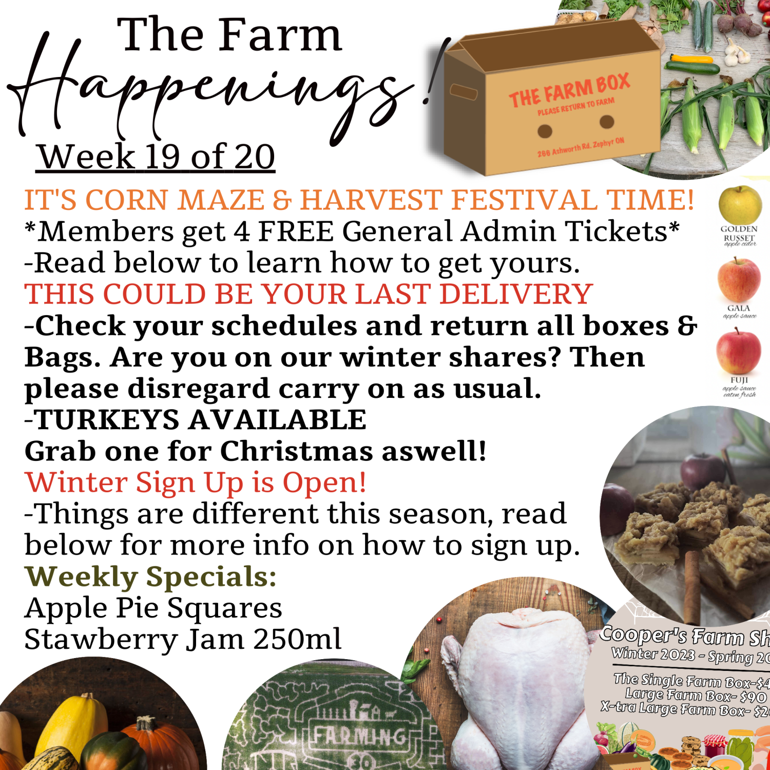 Next Happening: "The Farm Box"-Coopers CSA Farm Farm Happenings Week 19