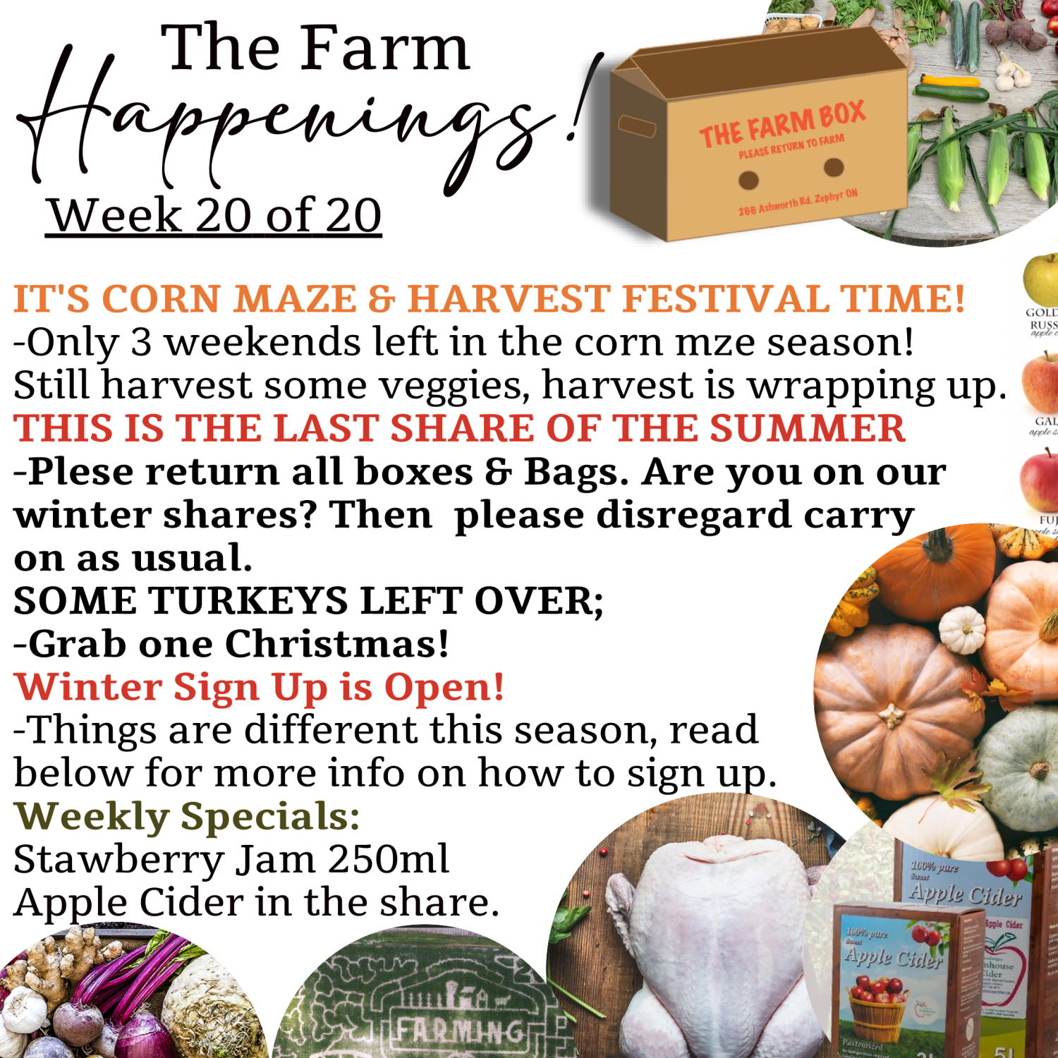 "The Farm Box"-Coopers CSA Farm Farm Happenings Week 20
