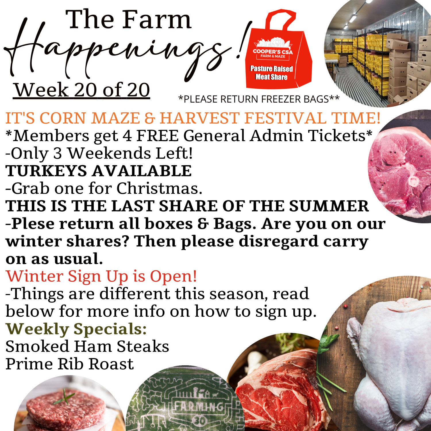 Next Happening: "Pasture Meat Shares"-Coopers CSA Farm Farm Happenings Week 20