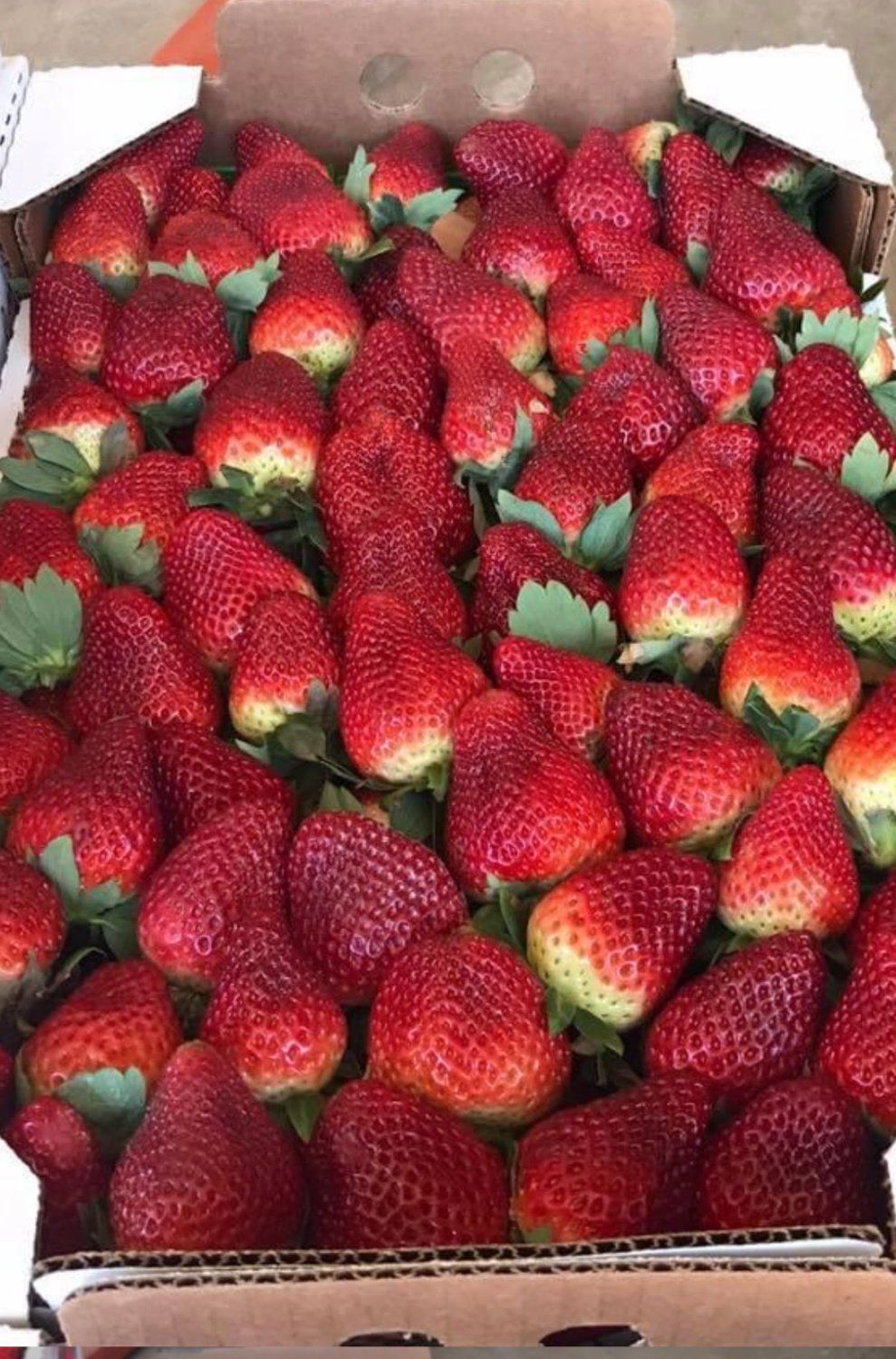 Next Happening: Strawberries Are Here!
