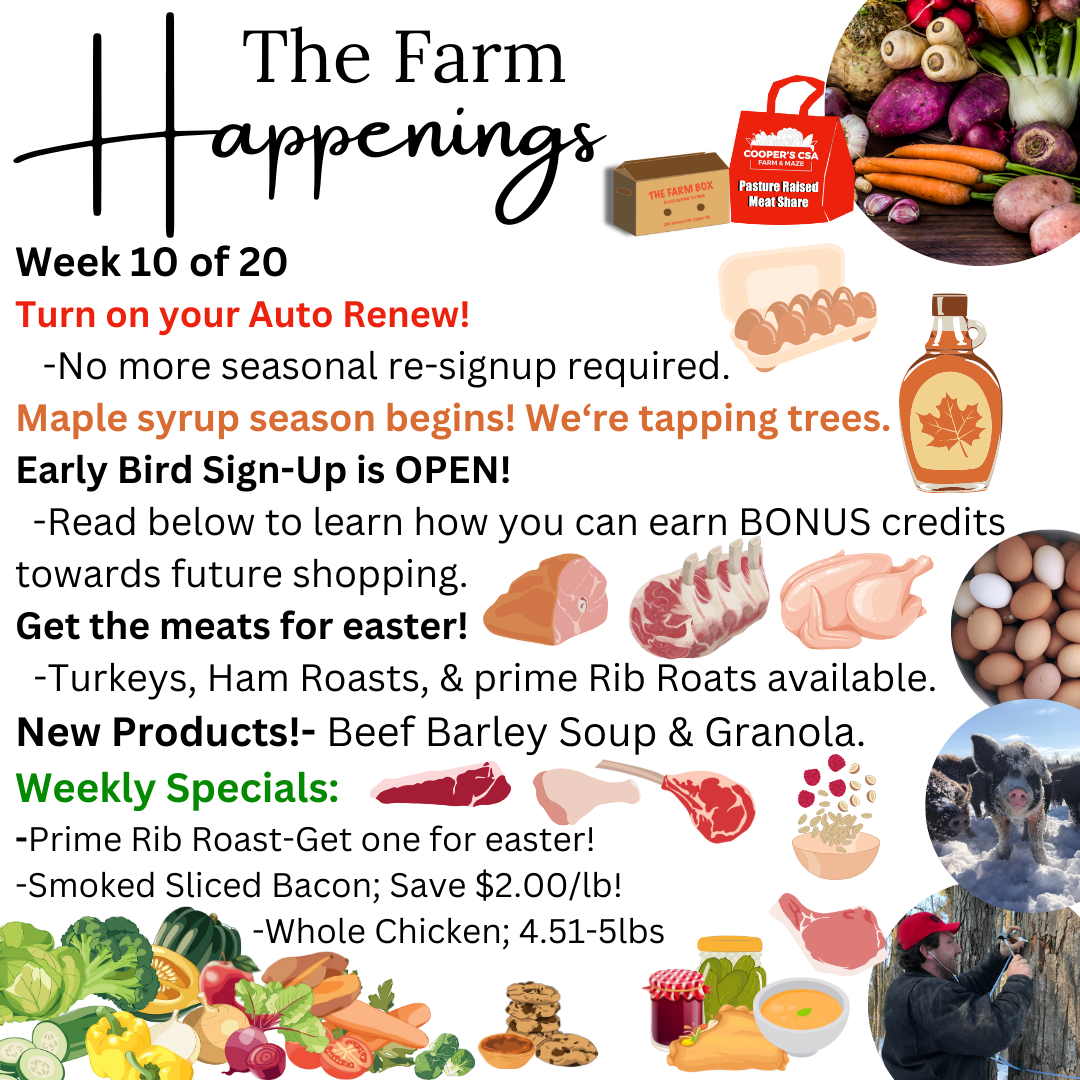 Previous Happening: "The Farm Box"-Coopers CSA Farm Farm Happenings March 5th-9th