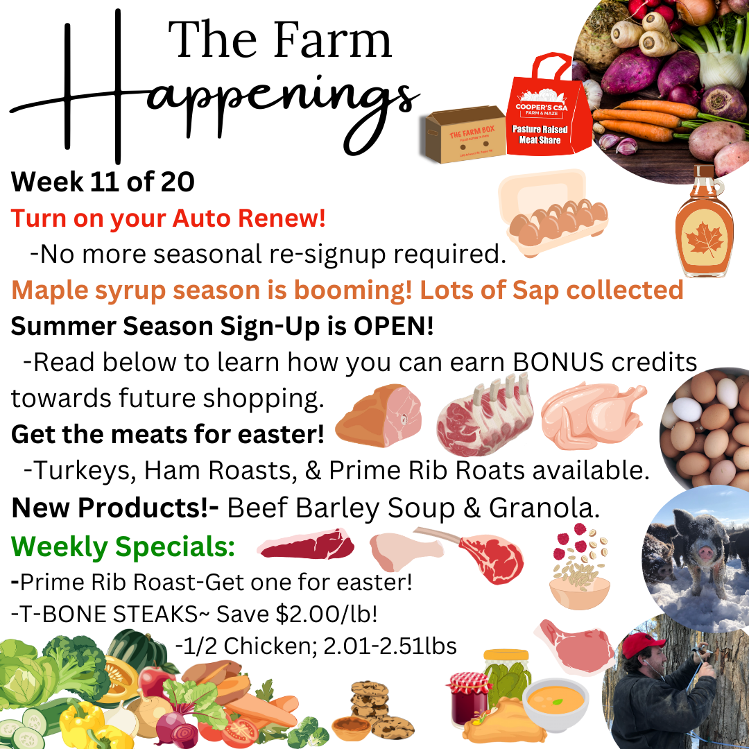 Previous Happening: "The Farm Box"-Coopers CSA Farm Farm Happenings Week 11, March 19-23rd