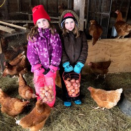 Farm Happenings for March, 20, 2019: the LAST Winter CSA Pick Up!