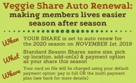Your Share Will Renew on NOVEMBER 1st